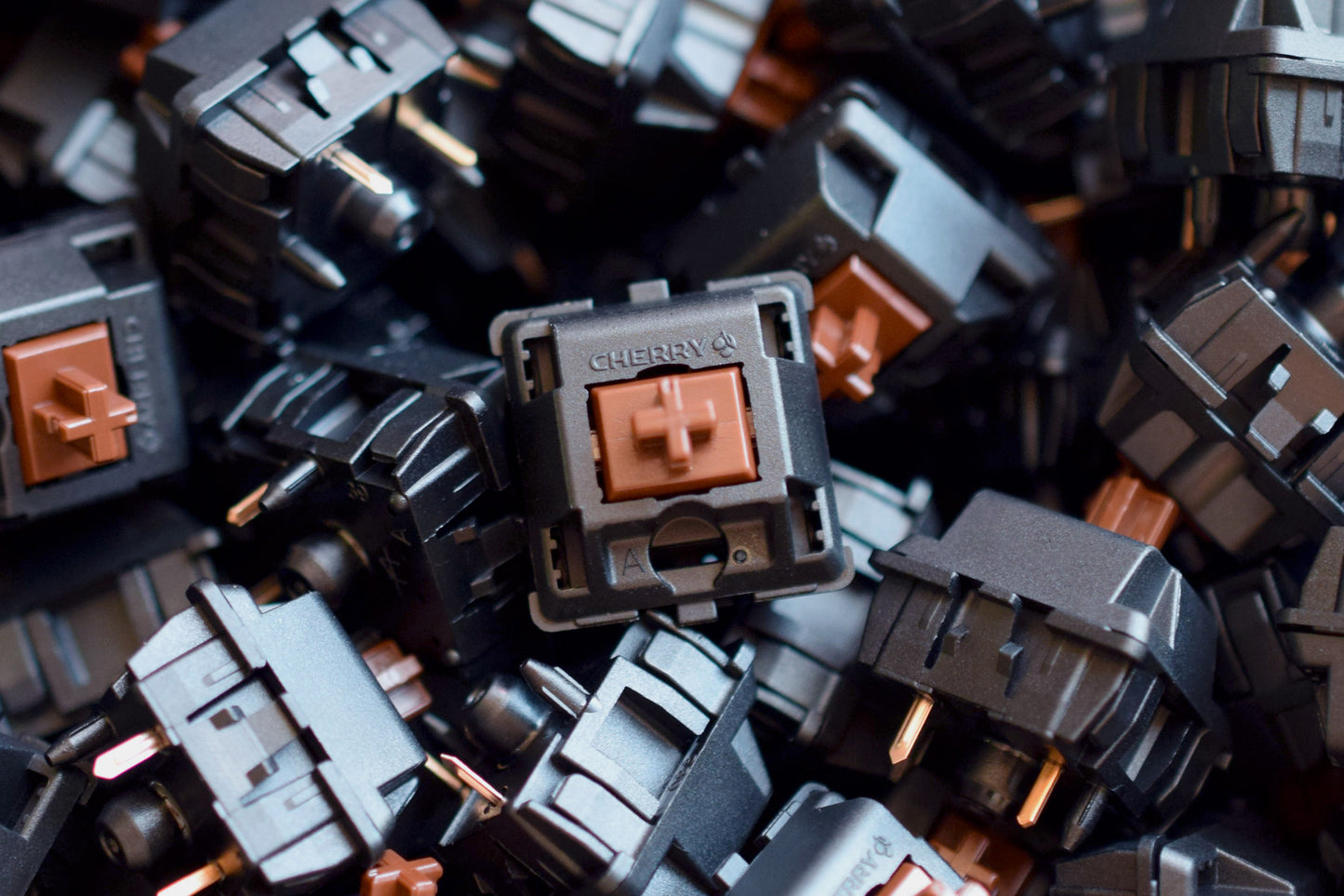 Bulk Switches