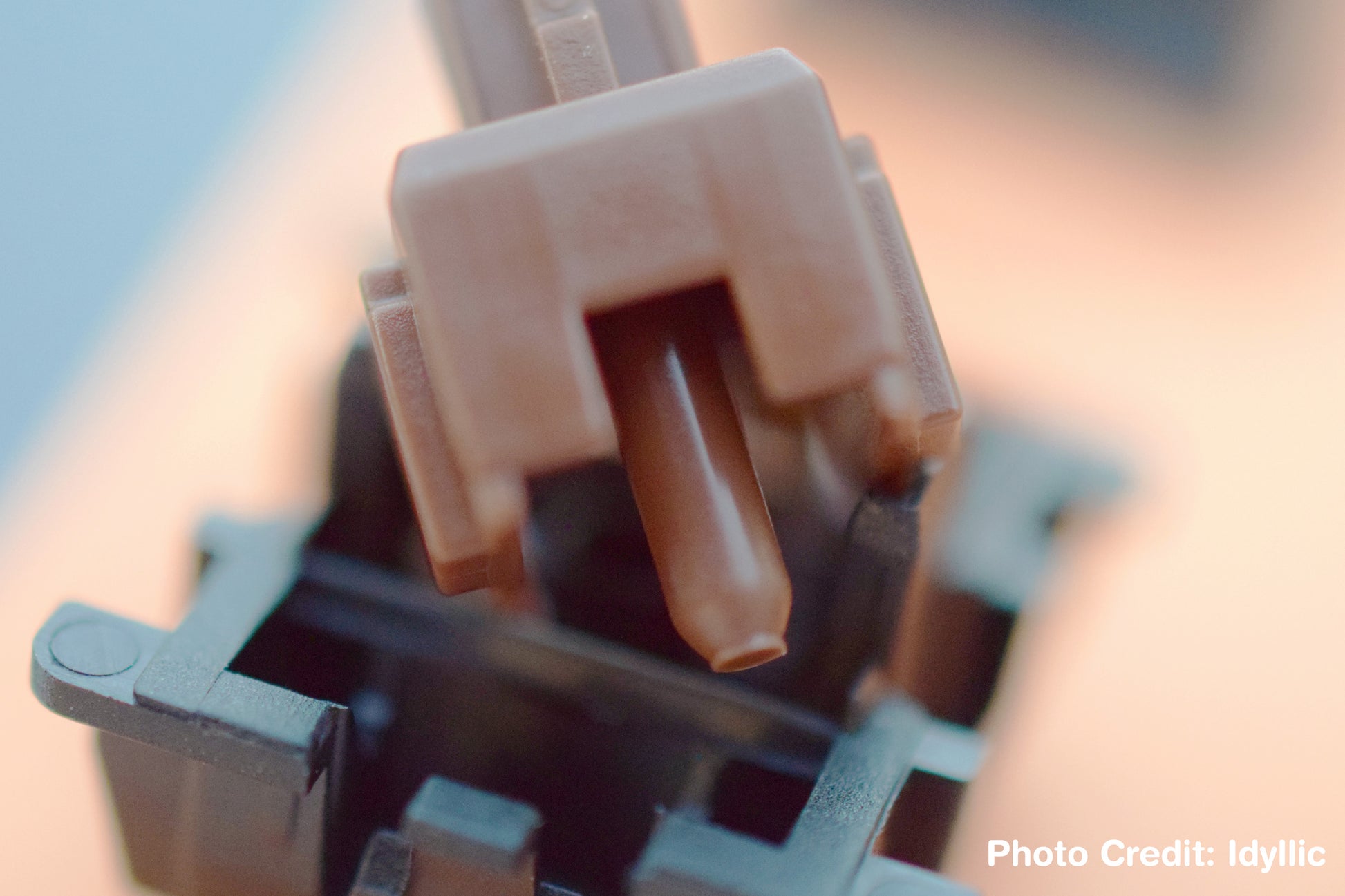 Close-up of a Cherry MX Brown Unlubbed Dry Un-Lubed in Australia. Mechanical Keyboard