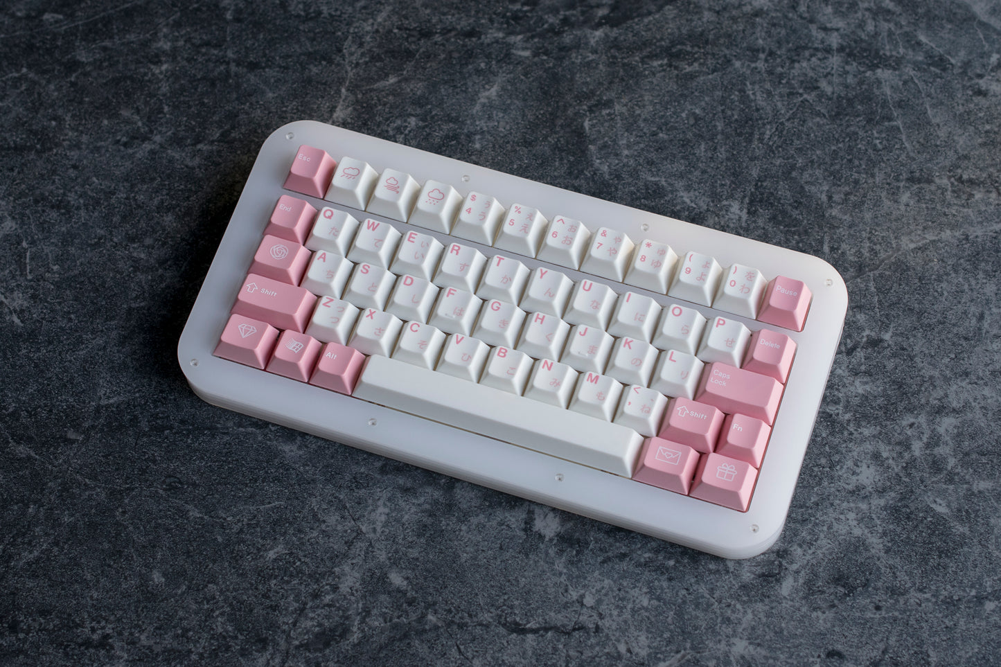 Tinny50