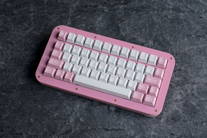 Tinny50