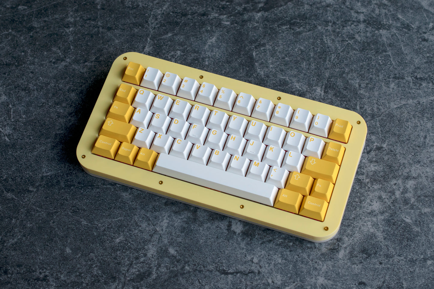 Tinny50