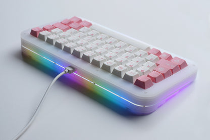 Tinny50
